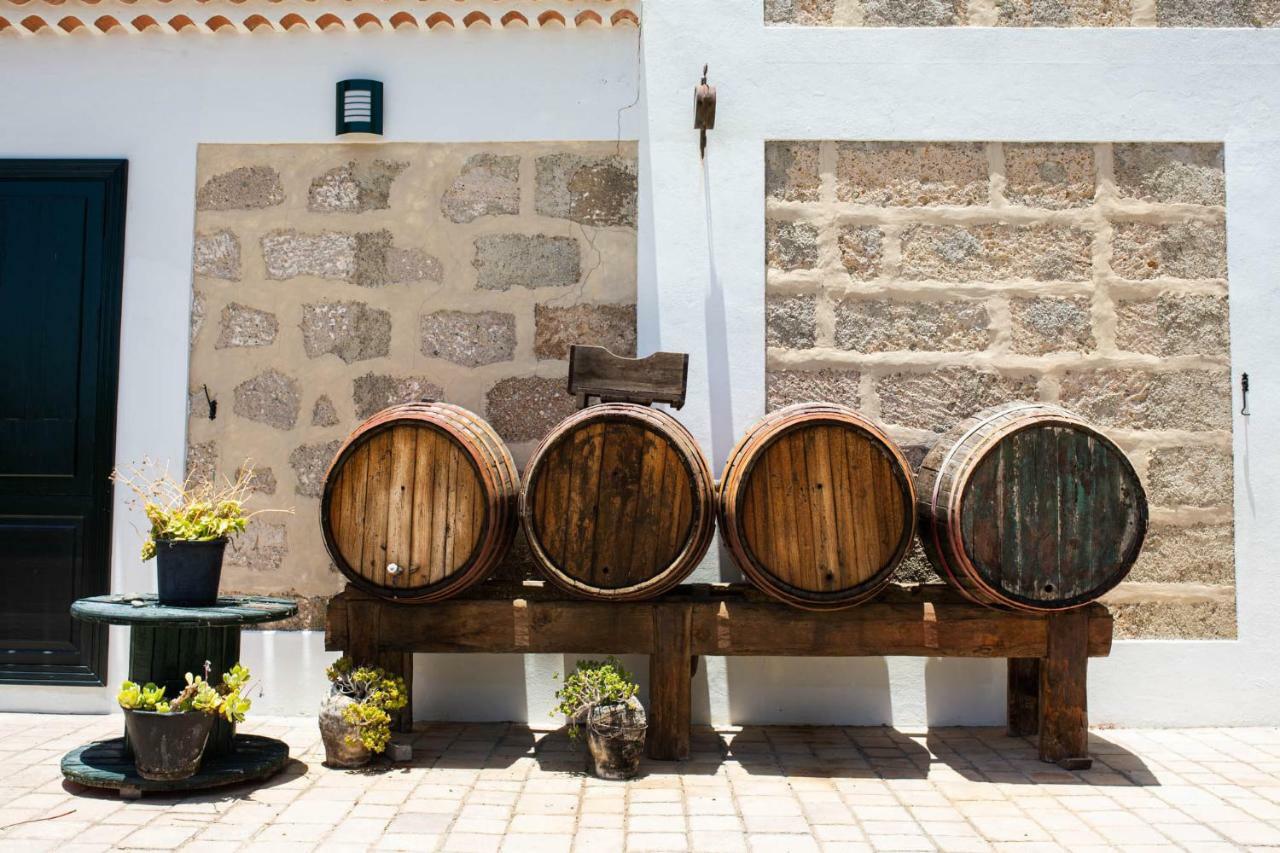 La Malvasia * Arico Viejo