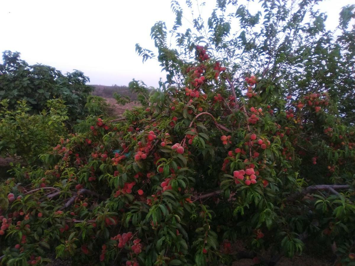 Casa De Abuelos Hébergement de vacances *