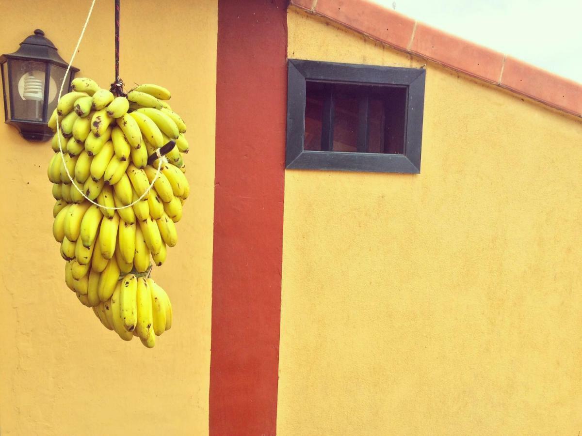 La Plantacion _agroturismo * La Orotava