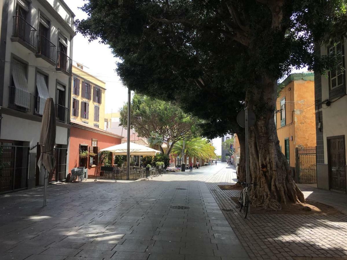 Apartment Orchideas House Centrico Y Acogedor Vacacional En Cruz *