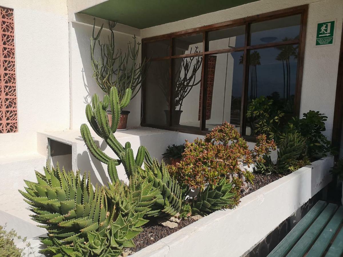 Apartment Sweet Dreams Tenerife Americas By Vapago Tenerife Playa Fanabe