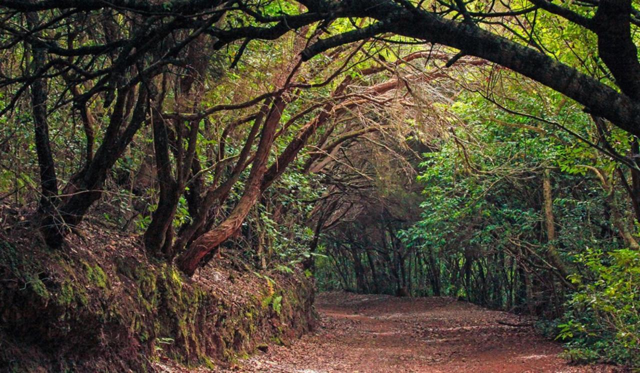 Сasa de vacaciones Almendro Arico Viejo