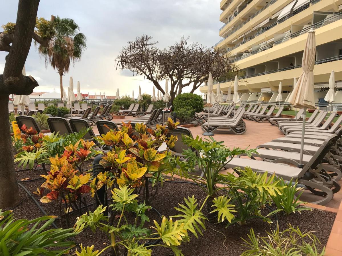 Sea View At Santa Maria Apartment Costa Adeje (Tenerife)