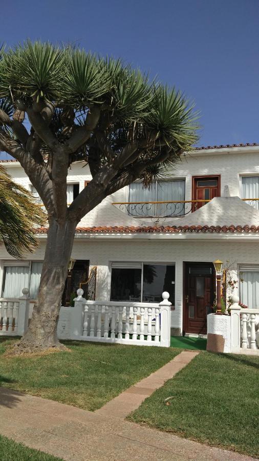 Apartamento The Bluestudio Tacoronte