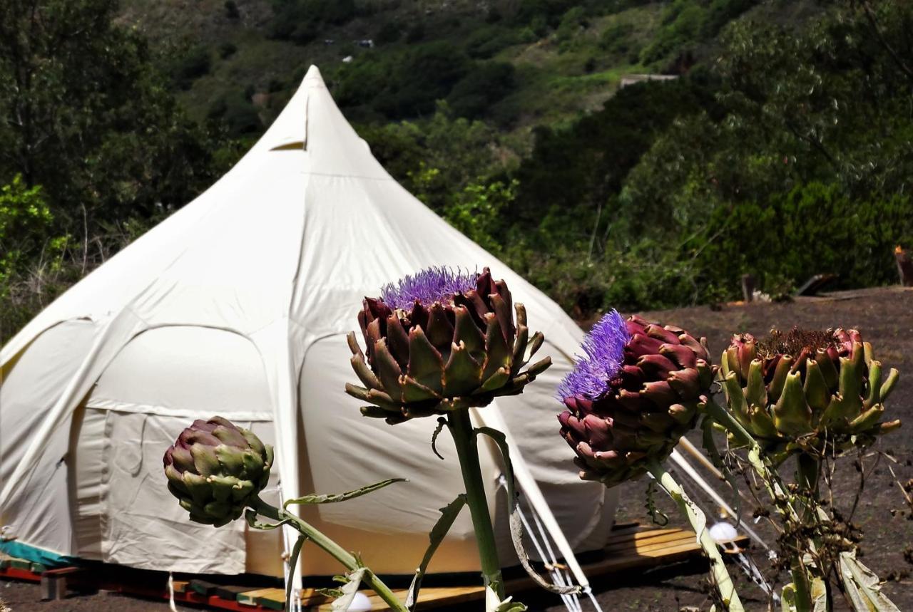 Free Canari - Los Alamos 8 Luxury tent *