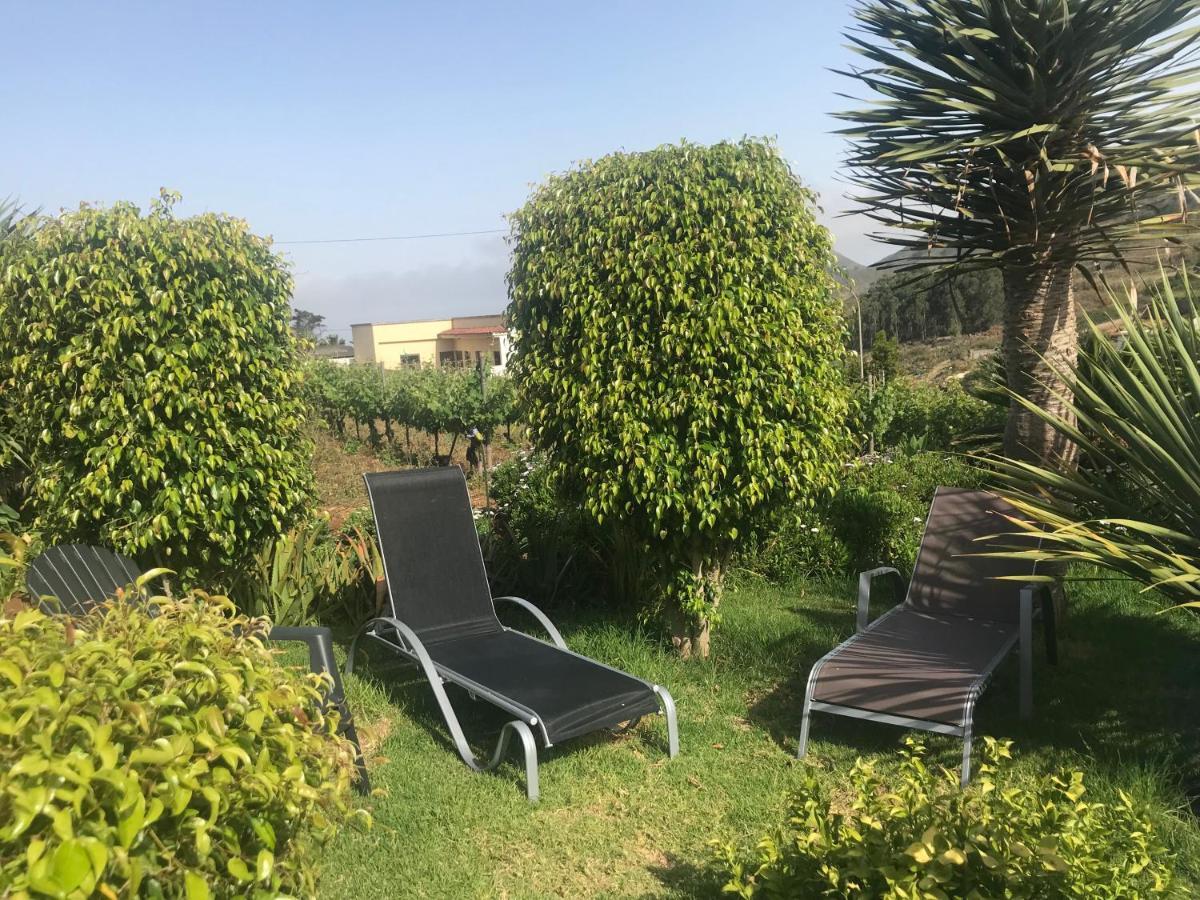 Casa Lazaro, Appartement