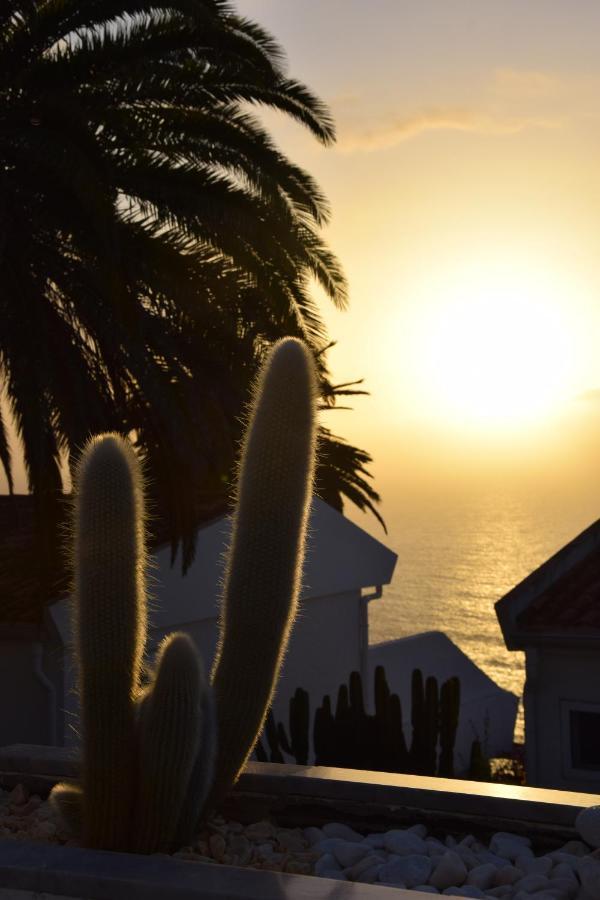 Paraiso Tranquilidad Vistas Mar Y Teide *