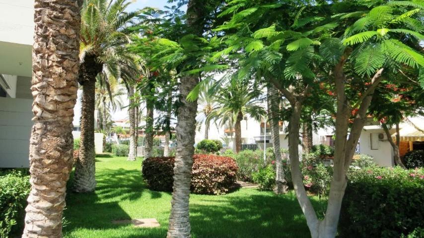 South Tenerife 471 Appartement *