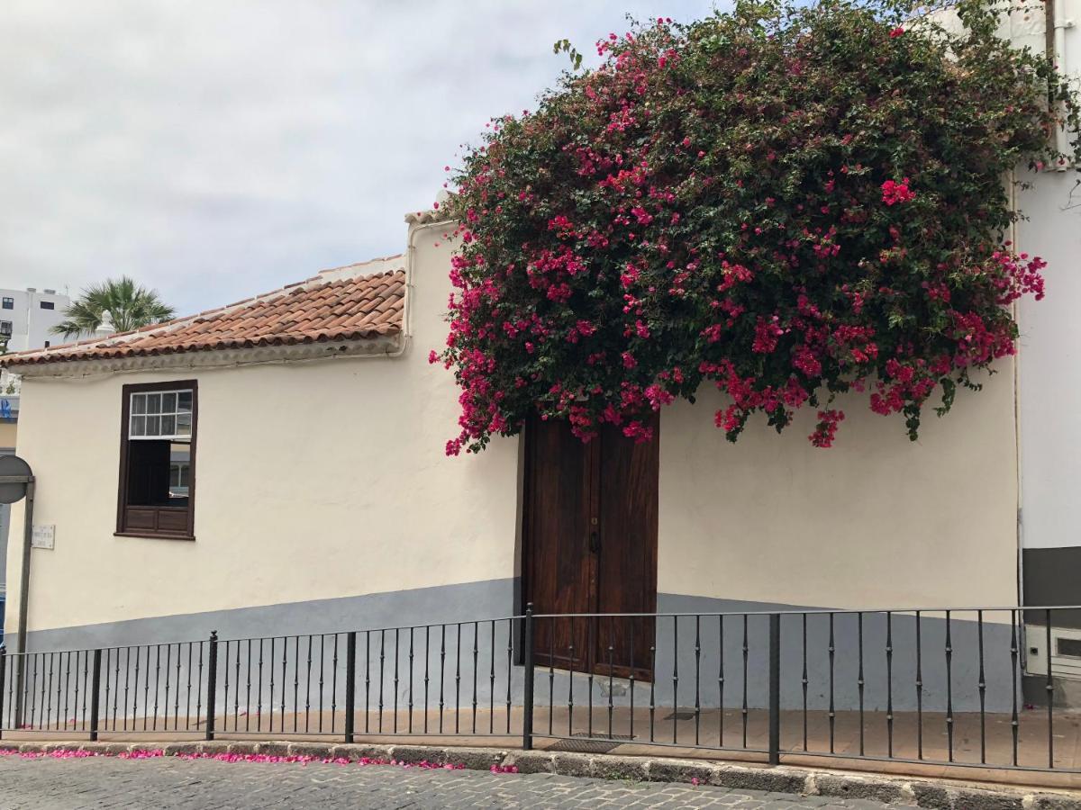 Apartamento La Penca 3 Garachico Appartement