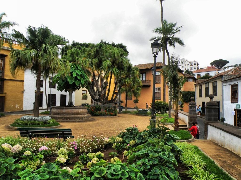 Acogedor Estudio En Playa San Marcos,