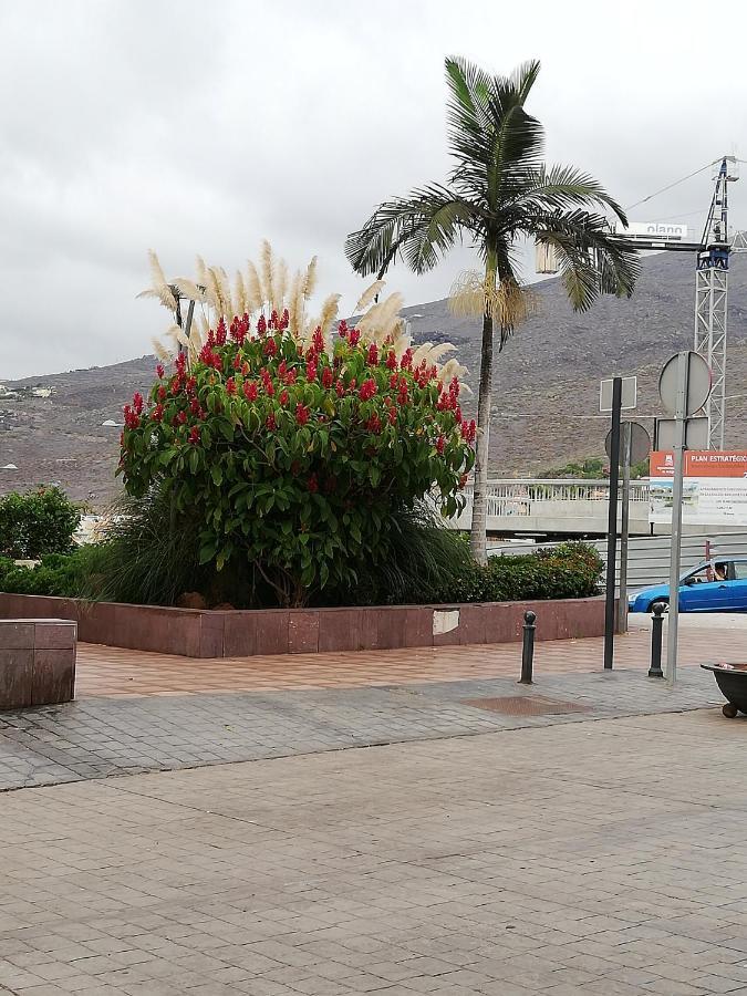 Vacaciones Torreon Costa Adeje (Tenerife)