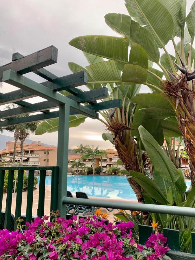 Piso Jardines Del Teide En El * Puerto de la Cruz (Tenerife)