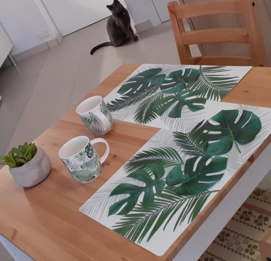 Casa Tavio 6 Casa Tavio 7 *