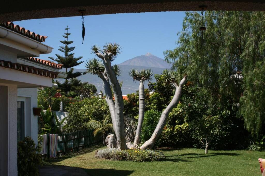 Villa Dragos *