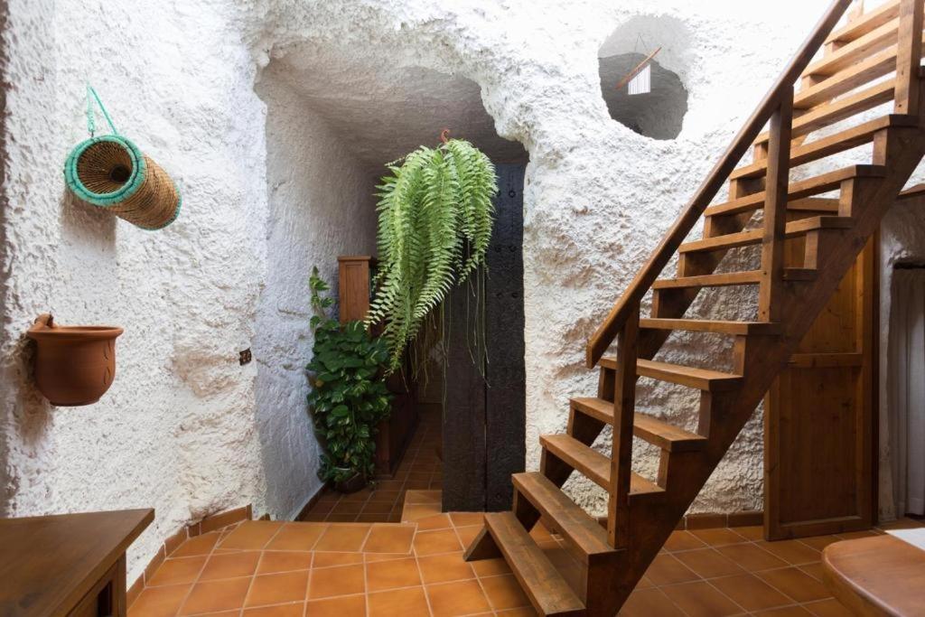 Сasa de vacaciones Live Socorro Cave Güímar