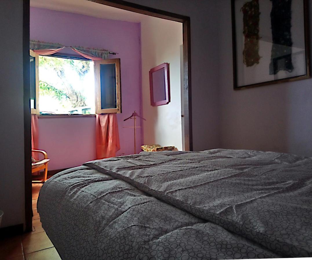 The Violet House Muy Cerca Del Aeropuerto Tenerife Norte Homestay La Laguna (Tenerife)