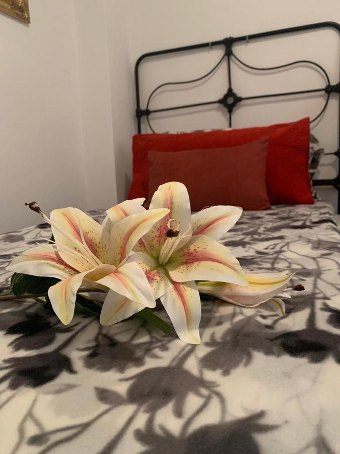 Dream Central Plaza Apartment