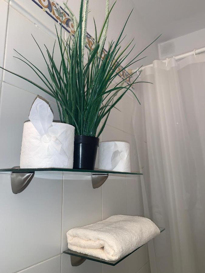 Apartment Dream Central Plaza Santa Cruz de Tenerife
