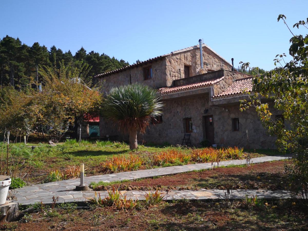 La Gustoza *