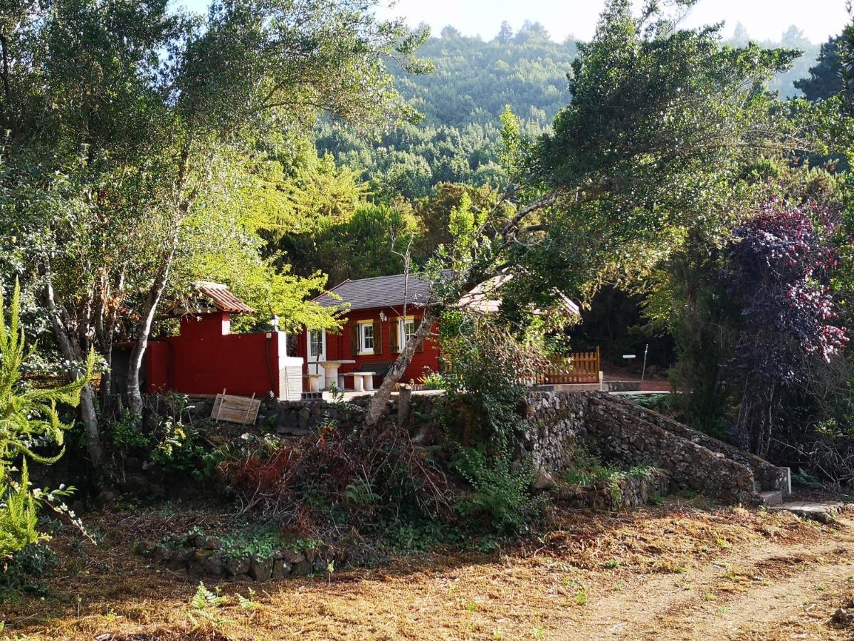 La Gustoza El Sauzal