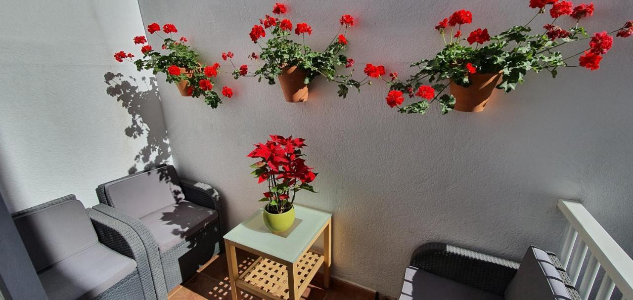 Hostel Adventure House Tenerife