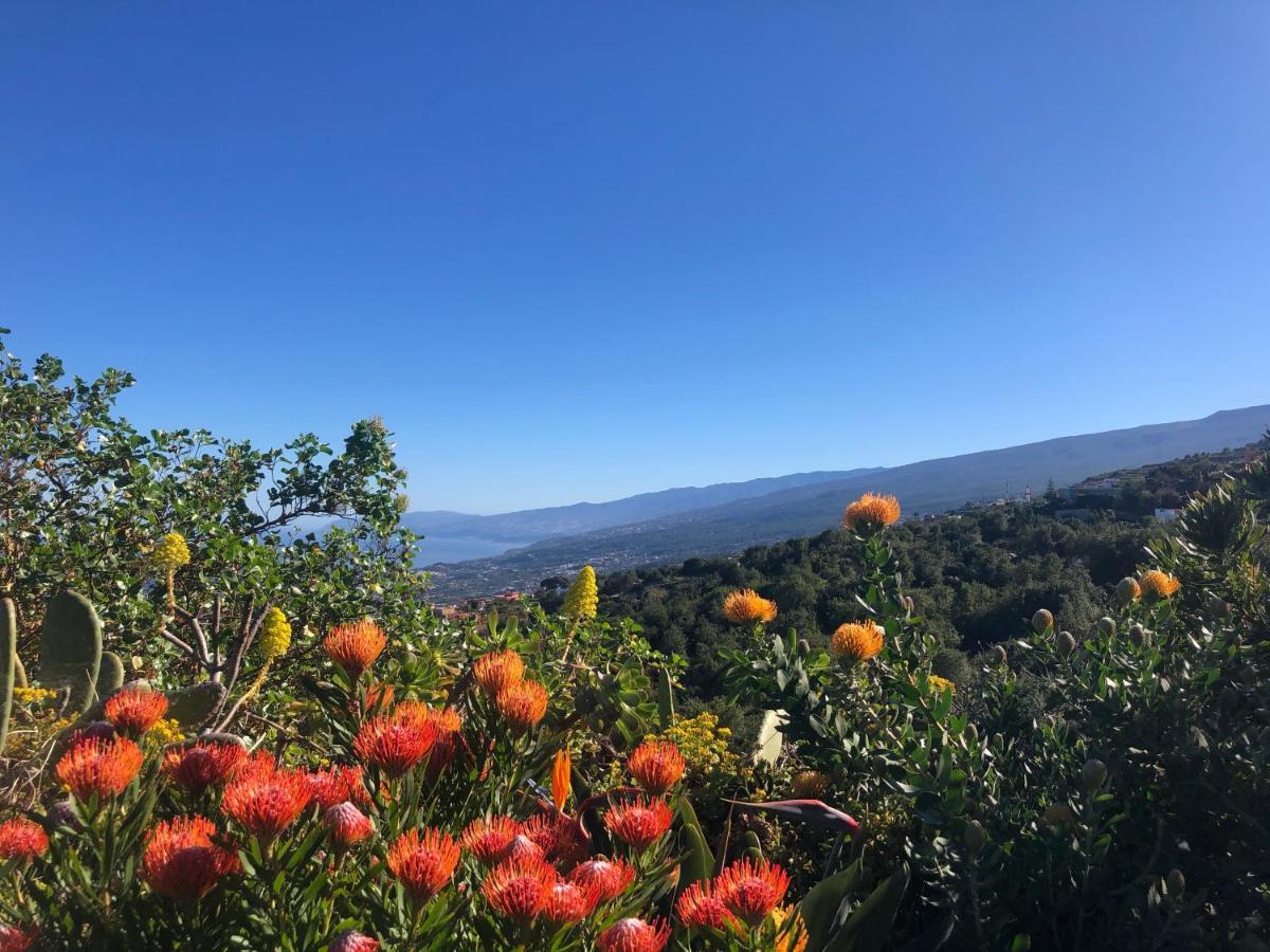 Hébergement de vacances Ecolodge Tenerife Genovés