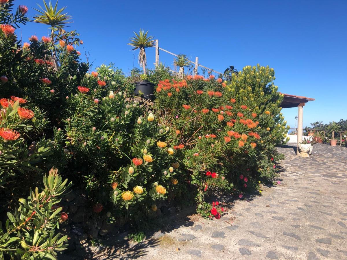 Ecolodge Tenerife * Genovés