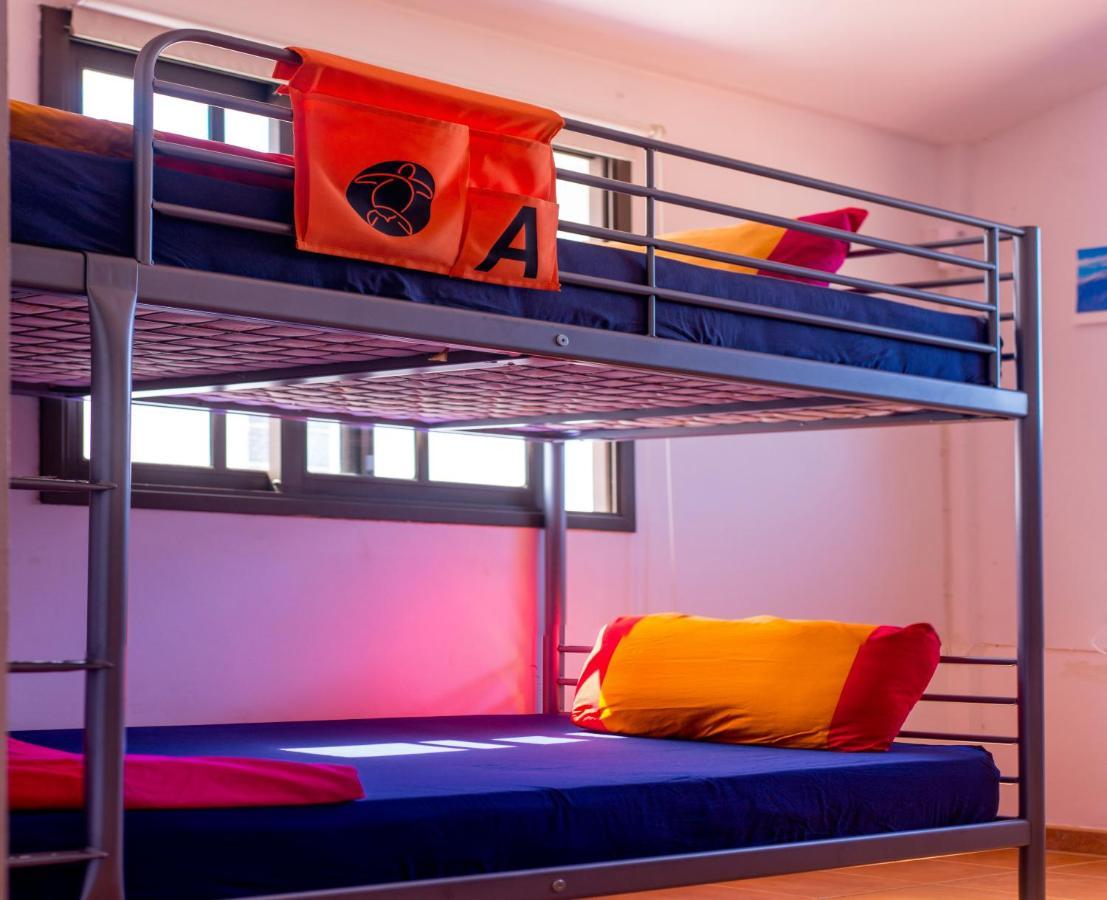 La Tortuga Hostal *