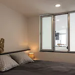 Lavagalerie Meeresblick 1 Reihe