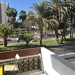 Surfers Paradise At Playa Las Americas