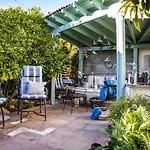 The Lemon Tree
