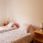 Apartamento Privado En Una Zona Tranquila Y Proxima Al Aeropuerto Tf Norte Y A La Ciudad De San Cristobal De La Laguna .