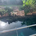 Superbe Appartement Avec Vue Sur L Ocean