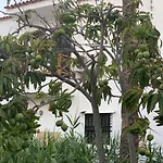 Ocean Beach Paradise Apartment