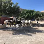 Siempre Verano