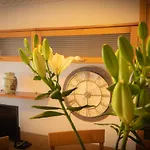 Fantástico apartamento de 1 habitación en El Pris