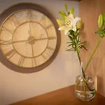 Fantástico apartamento de 1 habitación en El Pris