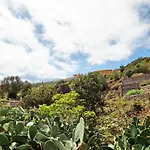 La Casa De Amalia