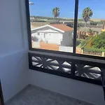 Tantulia Ficus Loft