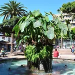 Durazno Tropical Apartment Puerto De La Cruz