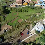 Ek Teide Finca El Milagro