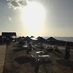 Tenerife Flamingo