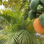 Hotel Privado Serendipia Natural Club Exclusive