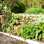 La Vega Rural De Garachico, Near Santa Cruz De Tenerife