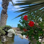 Little Paradise In El Medano 2