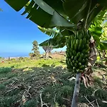 Finca Oscar Burchard