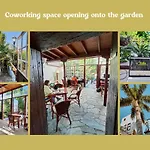 Tulia Guesthouse & Coworking
