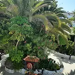 Blue Bay Paradise - Beach Front Apartment With Sea View