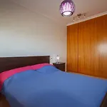 Apartments 6 Centre Las Americas For Holiday
