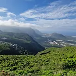 Los viñedos